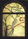 stain glass 24.jpg (26623 bytes)